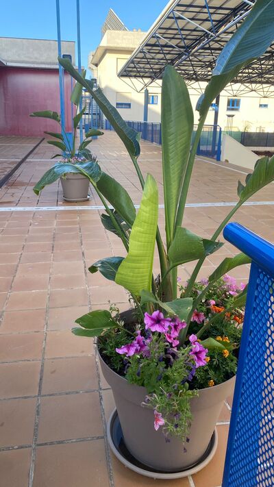 Apartamento Barrerillo 5 - 333 - 7